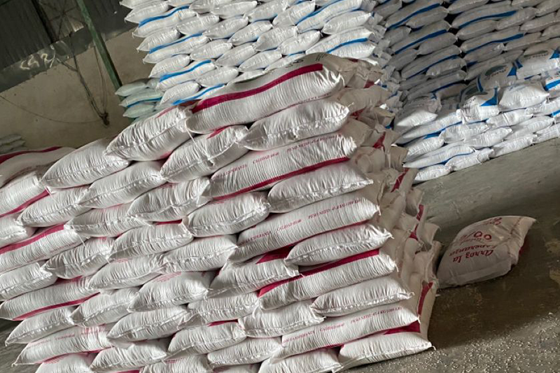 Fertilizer for growing Palm tree