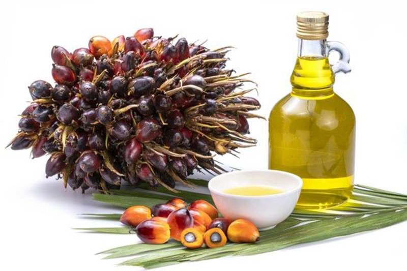 Palm Kernel Olein